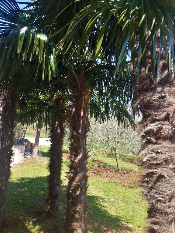 Villa Lara Karojba Rom bilde