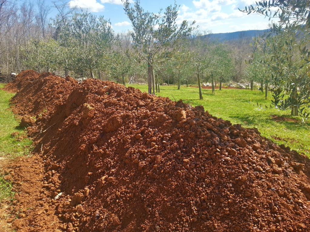 Villa Lara Karojba Rom bilde